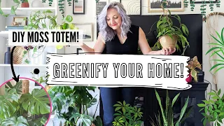 how to care for indoor plants + greenify you home! | DIY, tips and tricks