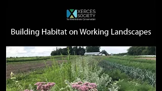 Building Habitat on Working Landscapes