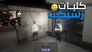 كلبات رسبكت: دربحه داخل بحساب ليون 😂💔