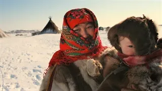 north nomads who lost all reindeer. how tundra people survive in crisis?