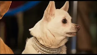 Show Dogs TV spot trailer (Atomic Dog)