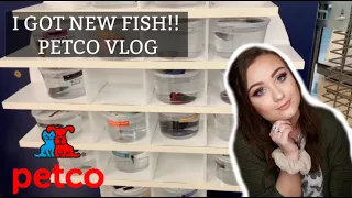 PETCO VLOG! | I GOT NEW FISH | ItsAnnaLouise