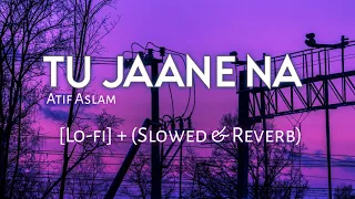 Tu Jaane Na - Atif Aslam [Lo-fi] & (Slowed+Reverb) //Harrlin Flip // Bollywood Lo-fi// Lo-fi Vibes♡︎