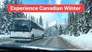 Experience Cold Winter Nature in Rocky Mountain, Alberta, Canada