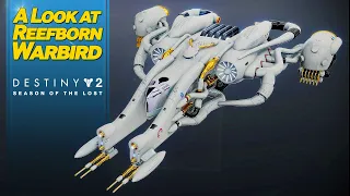 Reefborn Warbird - Why is no one talking about this