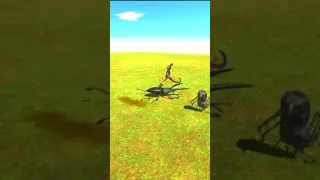 Beetle VS Scorpion and Spider