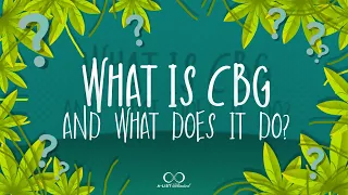 CBG Explained: What You Need to Know About Cannabigerol