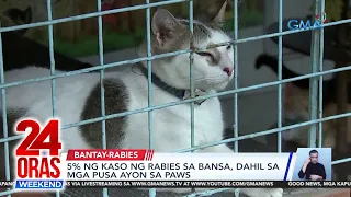 Tricycle driver, patay matapos makagat ng alagang pusa | 24 Oras Weekend