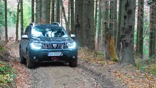 Dacia Duster 4x4 Forest Offroad Drive 2021