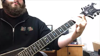 Vader Carnal Guitar Cover