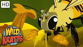 Wild Kratts | Flight of the Pollinators | Full Episode | Season 1