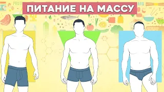 Питание на Массу для Эктоморфов Эндоморфов и Мезоморфов