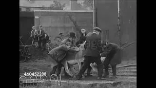 Rare film clips of Dublin in the 1930s/40s.