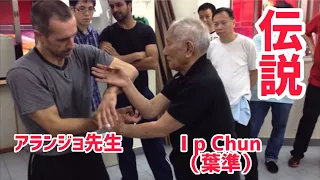 #4【神回】葉準（Ip Chun）vsアランジョ先生/詠春拳（Wing Chun）の黐手（チーサオ）