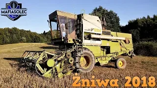 Zostałem kombajnistą Fortschritta E 514 w GR Mokrzyn! Zniwa 2018 - Ursus C-330🚜