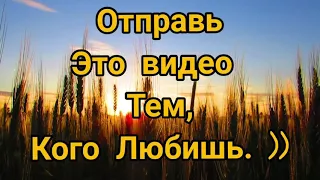 Цитата. Из книги "Две жизни"Антаровой К.Е.