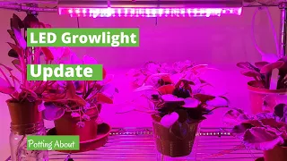 LED grow-light UPDATE