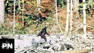 The Patterson-Gimlin Film - The Most Controversial Film of All Time?