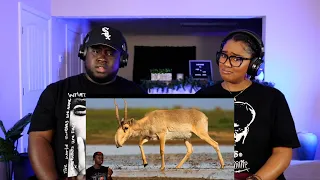 Kidd and Cee Reacts To 10 Animals You Definitely Forgot Existed (Casual Geographic)