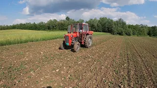 Bacanje đubriva po soji sa rasturivačem-jedan stariji snimak-2021