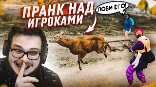 ОЧЕНЬ УГАРНЫЙ ТРОЛЛИНГ ИГРОКОВ! Я СТАЛ КАБАНОМ И ВСЕ ПЫТАЛИСЬ МЕНЯ ЗАКАБАНИТЬ НА ОХОТЕ! (GTA 5 RP)