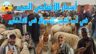 على بعد تقريبا شهر من العيد الأضحى هذه هي أسعار الأضاحي🐑من أشهر الأسواق في الناظور الخير موجود لاكن🔥