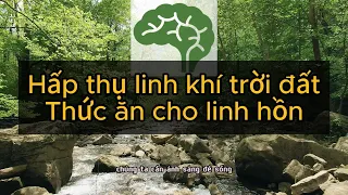 Hấp thụ linh khí trời đất - Thức ăn cho linh hồn