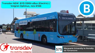 Transdev NSW: BYD D9RA eBus (Electric) / Volgren Optimus, m/o 8186