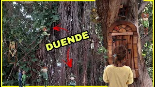 🔴 EL BOSQUE ENCANTADO 🧚🏻‍♀️🧚🏻‍♂️ de los MENAIRONS. HADAS Y DUENDES