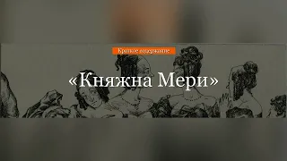 Краткое содержание - Княжна Мери