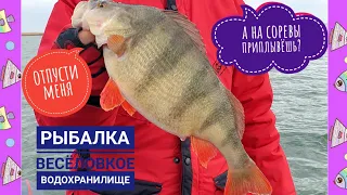 весёловское водохранилище рыбалка февраль 2022