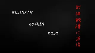 Bujinkan Goshin Dojo intro video