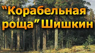 Корабельная роща, Шишкин - видео обзор картины