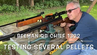 Pellet testing with the Beeman QB Chief @ 25 yds baracuda 18’s Crosman premier hollow points & more