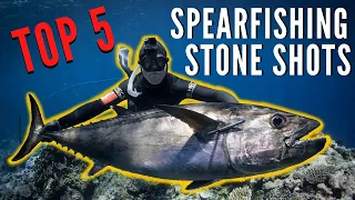 Top 5 Spearfishing Stone Shots