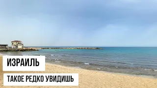 ХАЙФА.  ТАКОЕ ЗДЕСЬ ВИЖУ ВПЕРВЫЕ