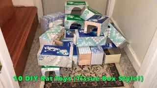 10 DIY Rat Toys to Make from Tissue Boxes!