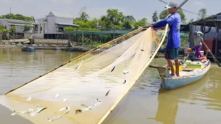 Tiếp tục theo 2 vợ chồng trẻ trải nghiệm cuộc mưu sinh xúc cá - Sông Nước Cửu Long - Nguyễn Hùng