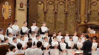 Escolania’s Chant, Monserrat Monastery, Spain 🇪🇸♥️❤️💖 몬세라트 수도원 소년합창단