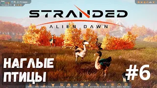 Stranded: Alien Dawn #6 - Наглые птицы