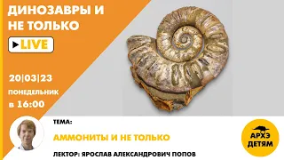 Занятие для детей "Аммониты и не только" кружка "Динозавры и не только" с Ярославом Поповым