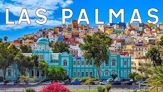 Weird exotic fruit in Las Palmas? -  Best Things To Do in Las Palmas de Gran Canaria