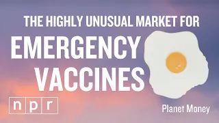 The Market for Emergency Vaccines Is Like No Other | Planet Money | NPR