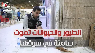 الطيور والحيوانات تموت صامتة في سوقها.. على مرأى ومسمع البائع والشاري