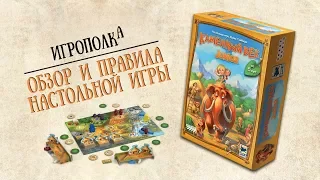 Каменный век Junior. Обзор и правила игры.