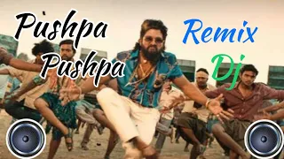 Pushpa Pushpa - Hindi Song Remix - Pushpa 2 - 2024