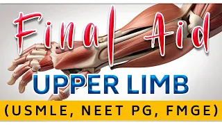 Upper Limb Anatomy : Rapid Revision by Dr Krishna Sahith