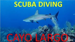 DIVING CAYO LARGO CUBA 2023