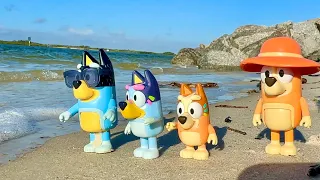 Bluey & Bingo Beach adventure ‼️ 1 HOUR