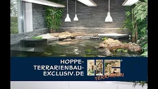 Aqua Terrarium für Wasserschildkröten